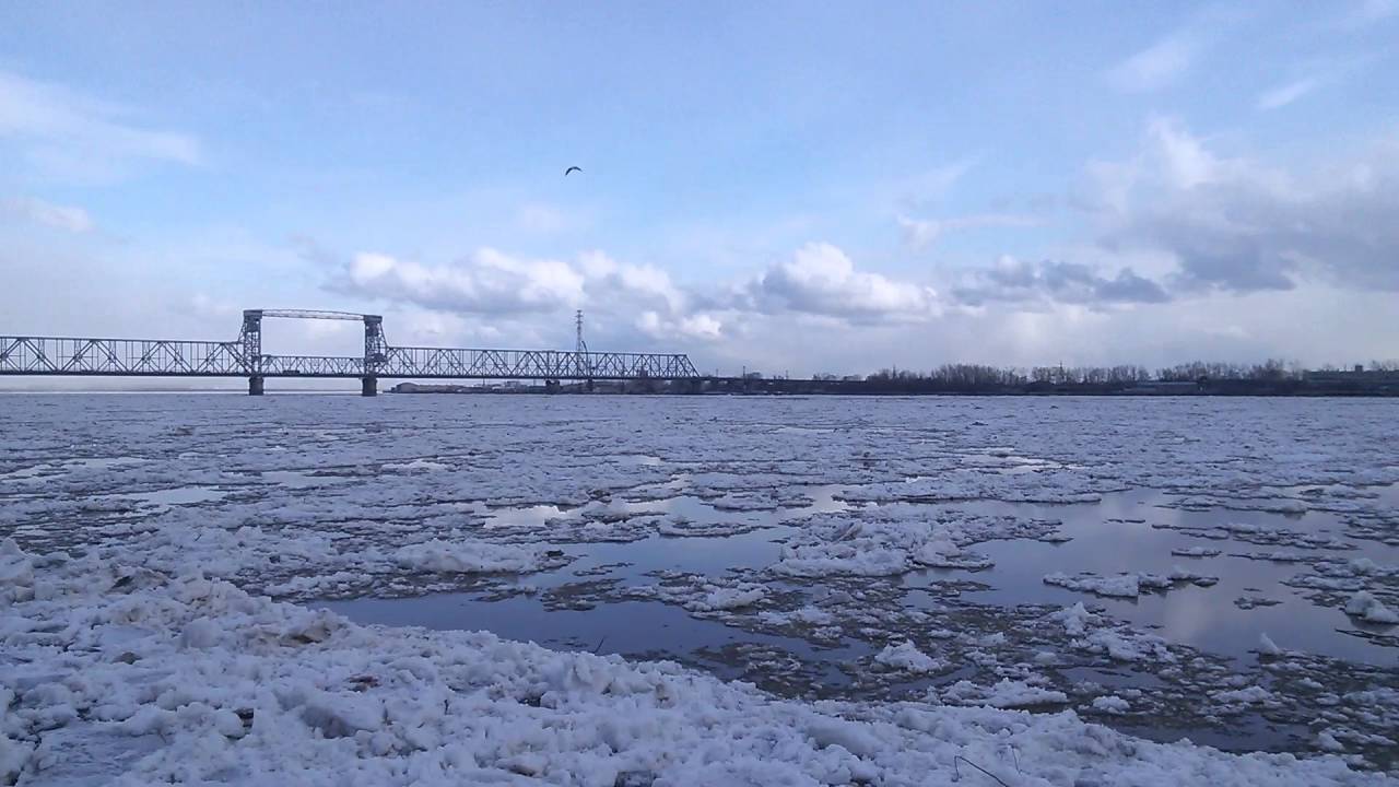 Уровень реки двина. Река Северная Двина. Северная Двина зимой Архангельск. Река Северная Двина зимой. Северная Двина Котлас.
